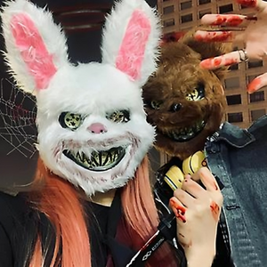 "Bunny & Bear: El Dúo Perfecto del Terror"